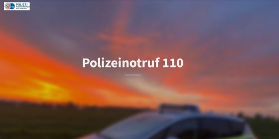 Startbild Multimediareportage Polizeinotruf 110